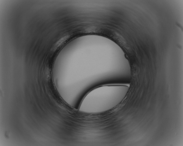 X0000093460164200710120957