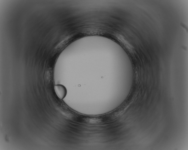 X0000093460165200710120957