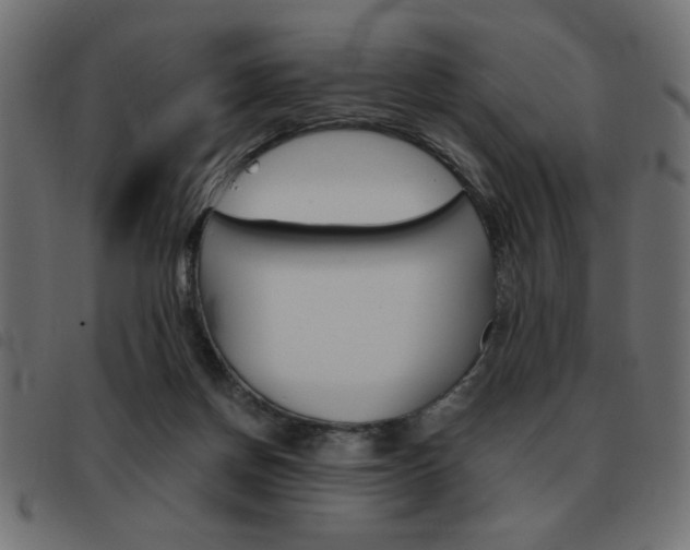 X0000093460166200710120957