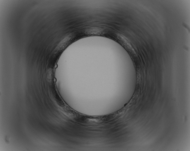 X0000093460167200710120957