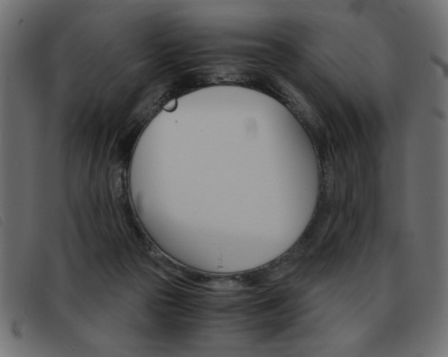 X0000093460169200710120957