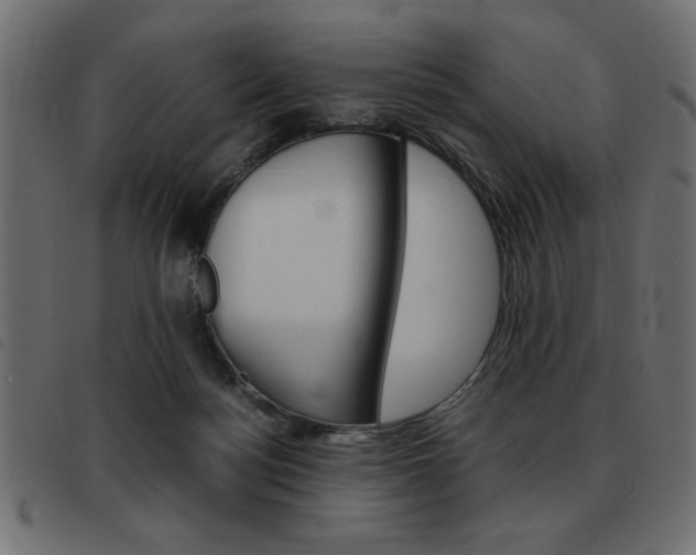 X0000093460172200710120957