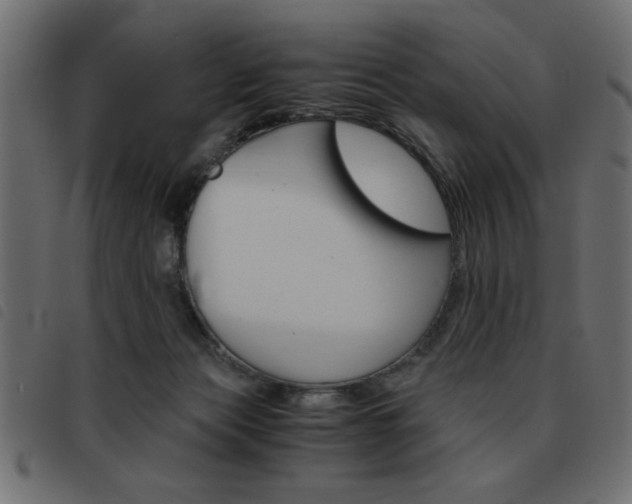 X0000093460173200710120957