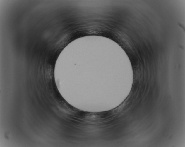 X0000093460174200710120957