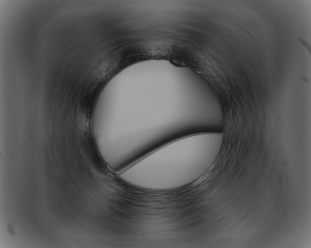 X0000093460176200710120957