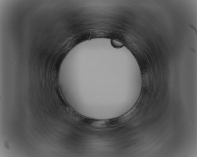 X0000093460178200710120957