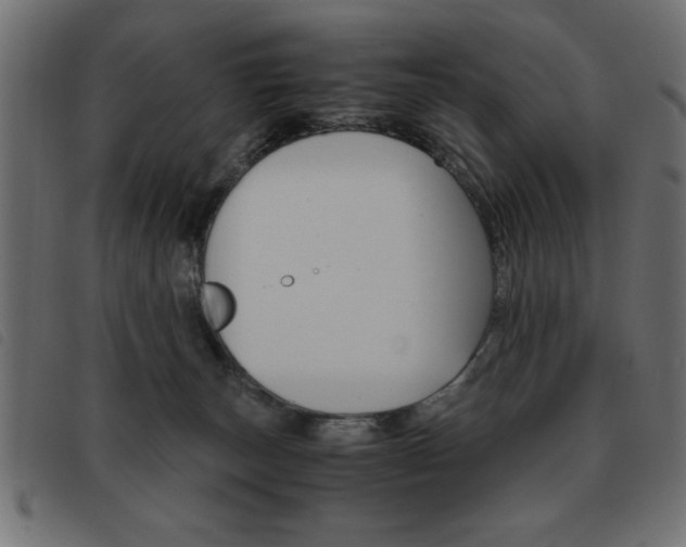X0000093460179200710120957