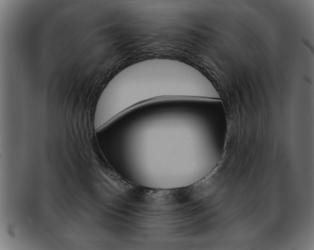 X0000093460186200710120957