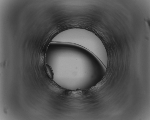 X0000093460188200710120957