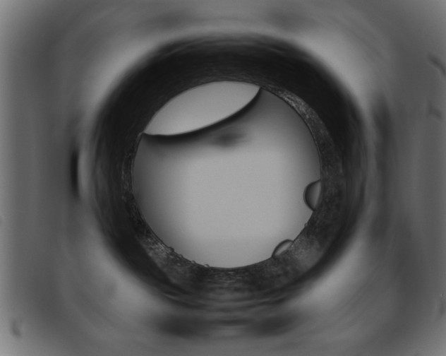 X0000093460189200710120957