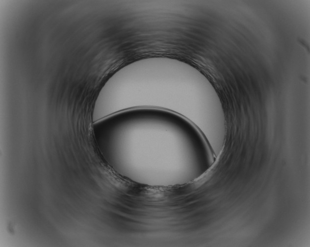 X0000093460190200710120957