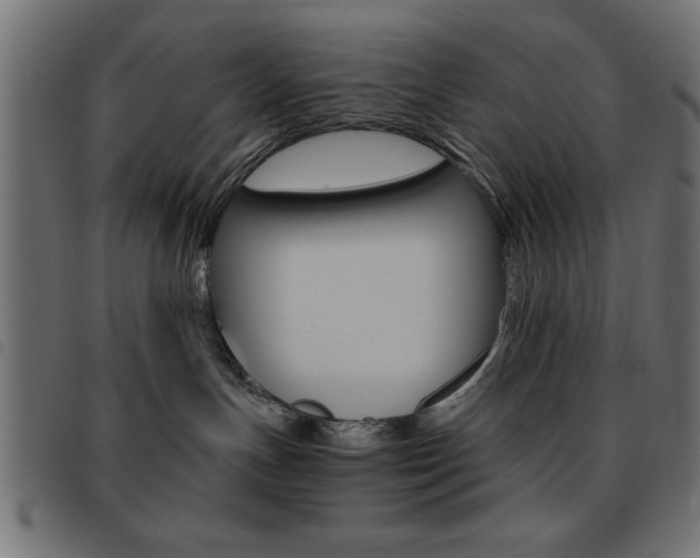 X0000093460191200710120957