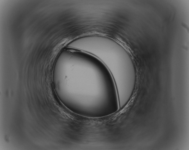 X0000093460193200710120957