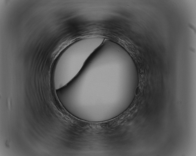 X0000093460194200710120957