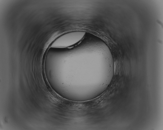 X0000093460195200710120957