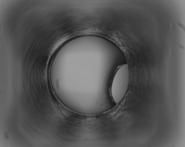 X0000093460196200710120957