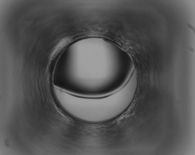 X0000093460197200710120957