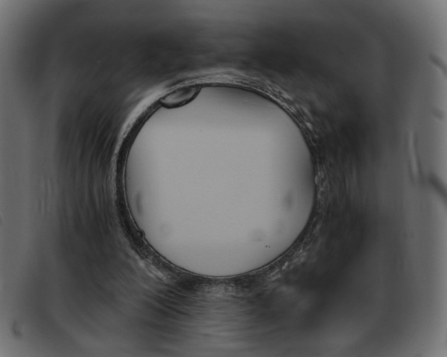 X0000093460200200710120957
