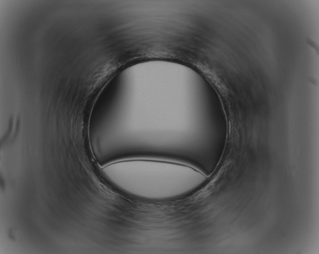 X0000093460201200710120957