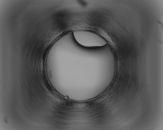 X0000093460202200710120957