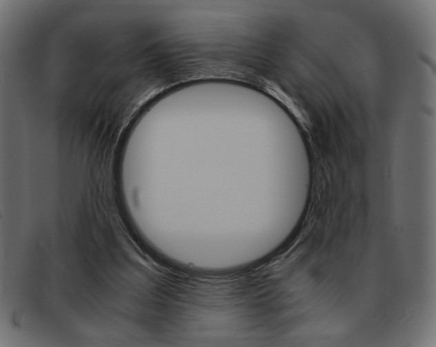 X0000093460203200710120957