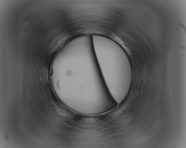 X0000093460205200710120957