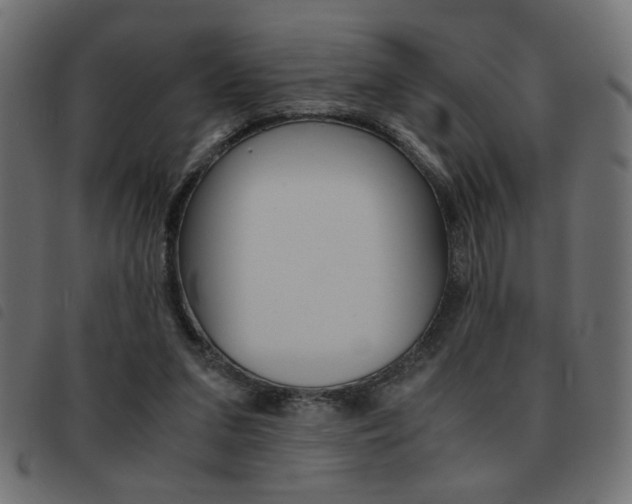 X0000093460207200710120957
