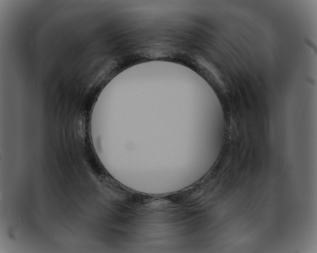 X0000093460210200710120957