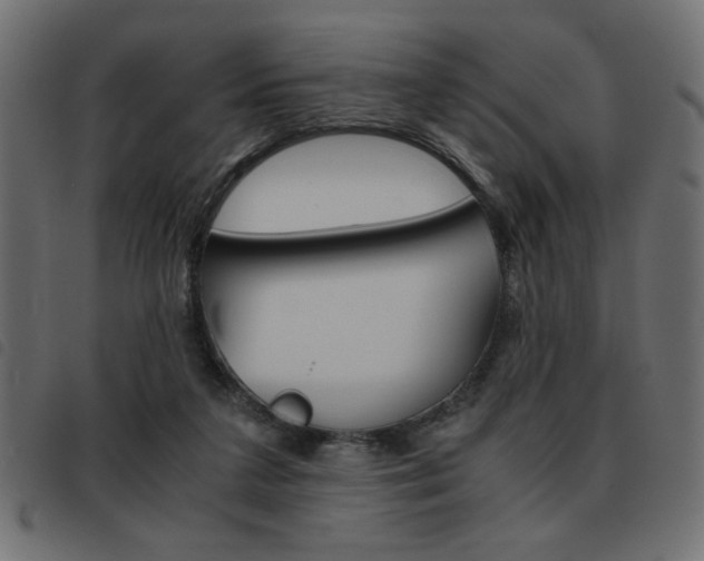 X0000093460211200710120957