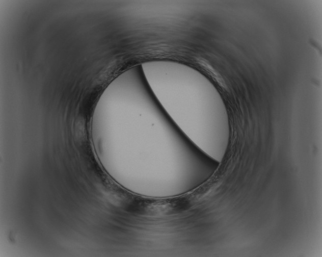 X0000093460213200710120957