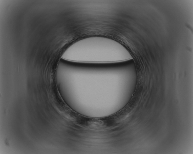 X0000093460215200710120956