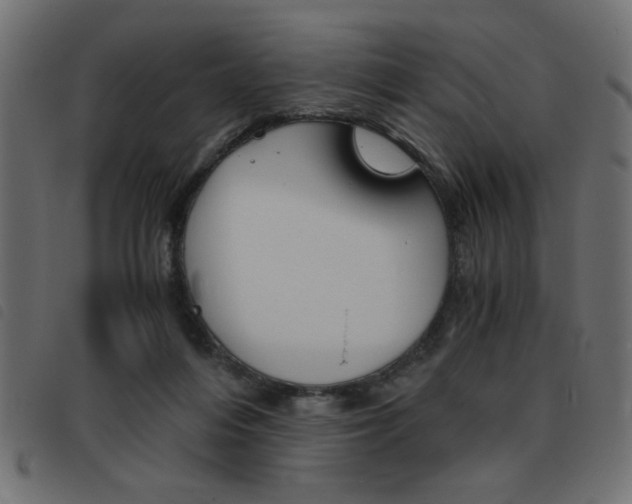 X0000093460216200710120956