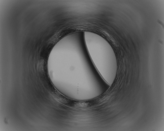 X0000093460217200710120956
