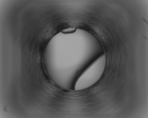 X0000093460221200710120956