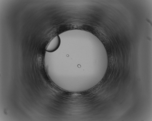 X0000093460222200710120956