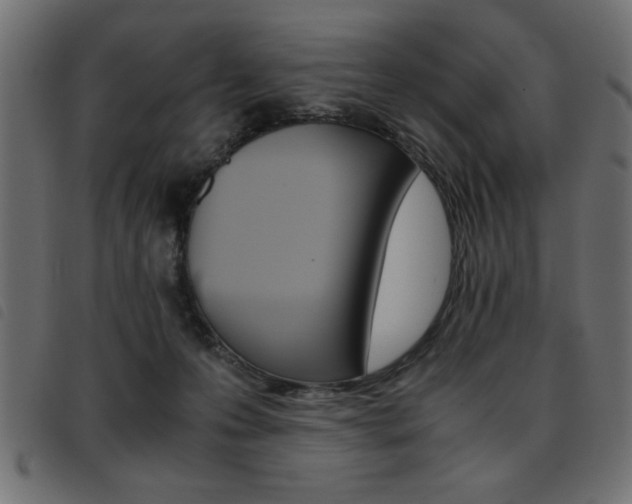 X0000093460223200710120956
