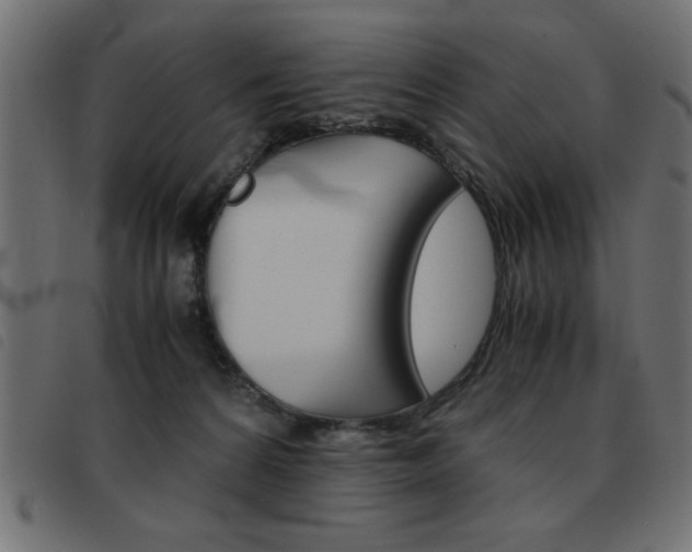 X0000093460224200710120956