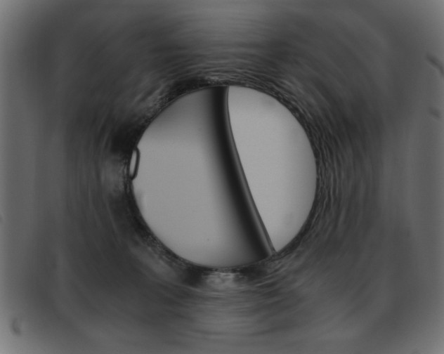 X0000093460227200710120956