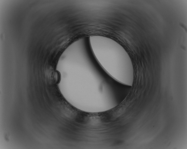 X0000093460228200710120956
