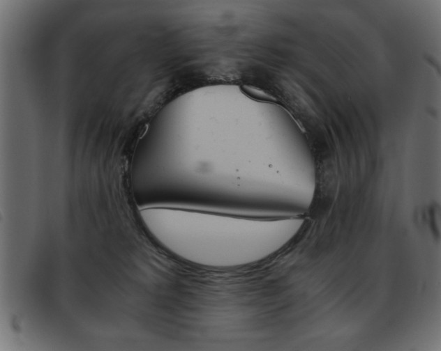 X0000093460229200710120956