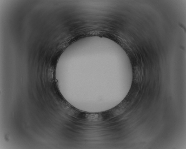 X0000093460230200710120956