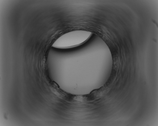X0000093460231200710120956