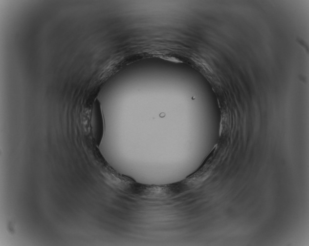 X0000093460237200710120956