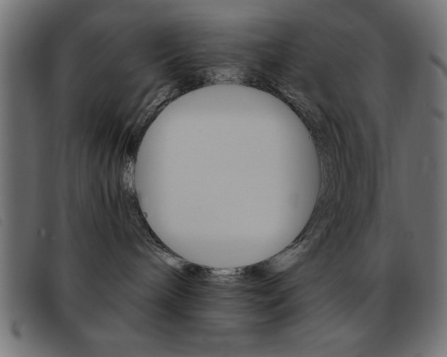X0000093460240200710120956