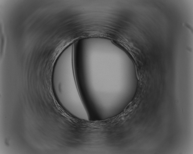 X0000093460241200710120955