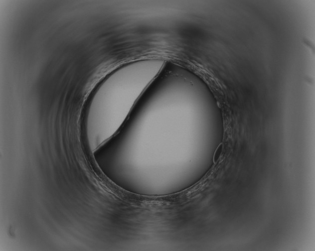X0000093460242200710120956