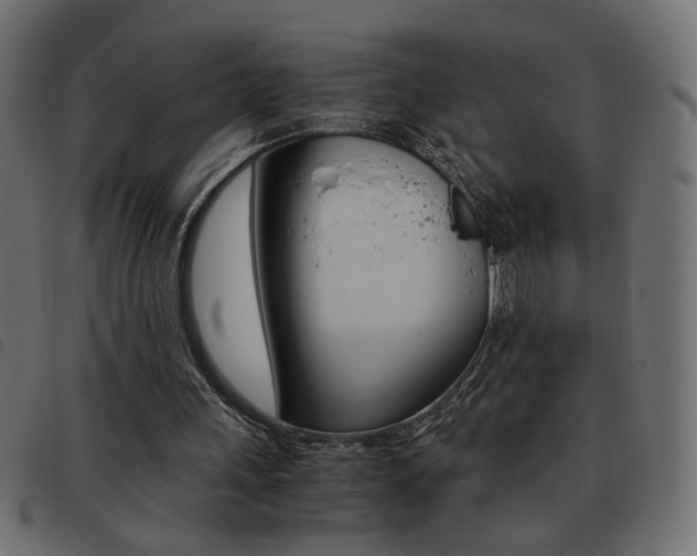 X0000093460243200710120956
