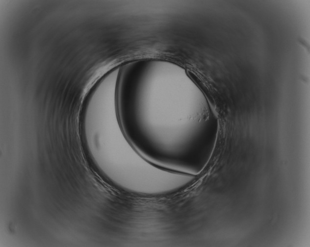 X0000093460244200710120956