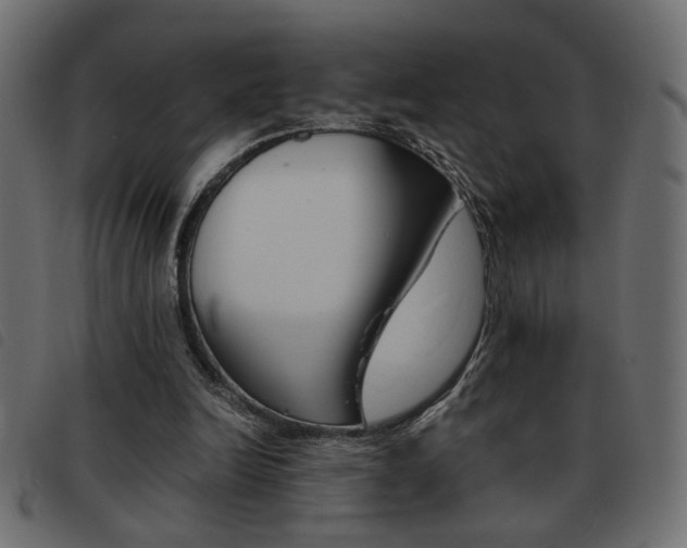 X0000093460246200710120956