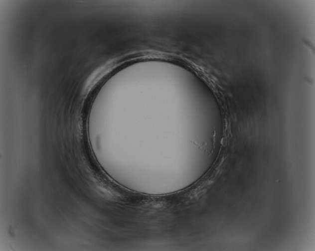 X0000093460247200710120956